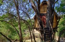 4 Day Lodge and Treehouse Kruger National Park Safari