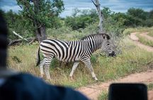 4 Day Classic Kruger National Park Safari