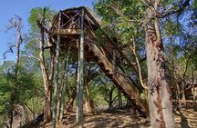3 Day Lodge/Treehouse Kruger National Park Safari