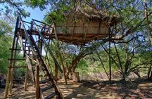 6 Day Lodge and Treehouse Kruger National Park Safari