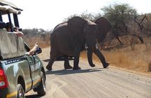 4 Day Classic Kruger National Park Safari