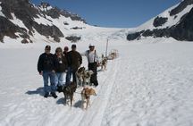 Juneau Helicopter and Dogsledding with Added Glacier Landing