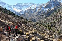 Enjoy 2 days 1 night and hiking in the highest mountain in North Africa!!