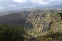 Half day to Bandama Caldera, Botanical experience & Wine-Tasting
