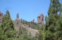 Full Day to Bandama Volcano, Center and High Peaks of Gran Canaria & Roque Nublo