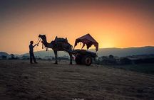 Rajasthan Heritage Tour