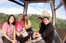 Tea of Taipei: Small-Group Tour with Taipei City Sightseeing