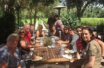 Napa Valley Small Group Winery Tour