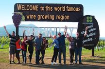 Napa Valley Small Group Winery Tour
