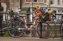 Private Morning or Afternoon Bike Tour of Amsterdam's City Center