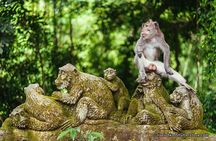 The Best of Ubud Tour and Jungle Swing