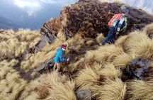 Mardi Himal Newly Discovered Trekking from Pokhara Nepal