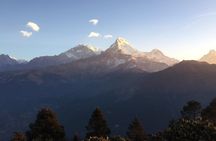Pokhara: Poon Hill Ghorepani Short Trek