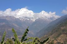 Pokhara: Poon Hill Ghorepani Short Trek