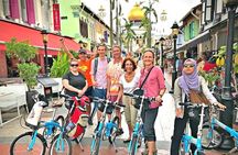 Lion City Bike Tour of Singapore
