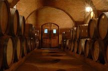 Colchagua Valley Winery Day Trip from Santiago