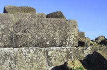 Easter Island Moai Archaeology Tour: Ahu Akivi, Ahu Tahai and Puna Pauâ Quarry.