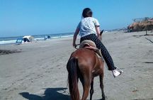 Horse Riding in Cartagena