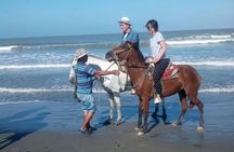 Horse Riding in Cartagena