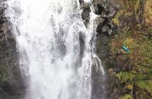Waterfall Rappelling at Kulaniapia Falls: 120 Foot Drop, 15 Minutes from Hilo