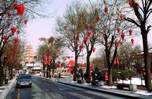 Xi'an Day Trip of Terracotta Warriors, City Wall, Big Wild Goose Pagoda