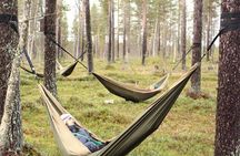 Cocooning in the HaliPuu forest: The ultimate Arctic hammock relaxation