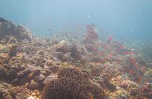 Shipwreck Snorkelling in Tulamben