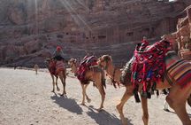 From Amman: one day tour to Petra