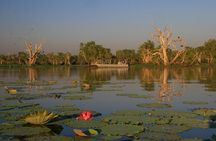 Corroboree Billabong Wetland Cruises - 2 hour Sunset Cruise