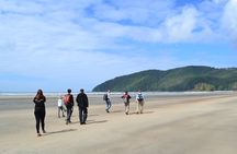 STUNNING San Josef Bay Tour in Cape Scott Provincial Park