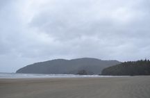STUNNING San Josef Bay Tour in Cape Scott Provincial Park