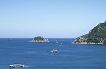 Live Guided Bosphorus & Black Sea Afternoon Cruise with Lunch