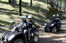 Forest Quad Trip with Hotel Pickup