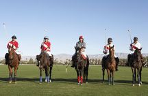 Polo Match, BBQ and Lesson Day-Trip from Buenos Aires