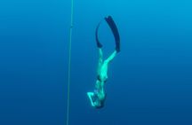 Discover Freediving course
