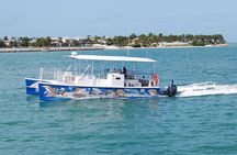 Shark and Wildlife Viewing Adventure in Key West