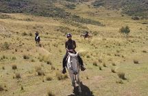 Horseback Riding: 4 Archaeological Sites