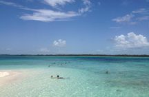 Freeport Snorkeling Peterson Cay National Park and Hotel Day Pass