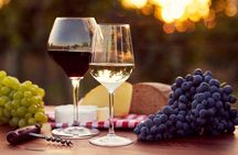 A world of wine-tasting in Nemea