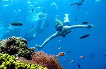 Private Charter boat to Angthong Marine Park