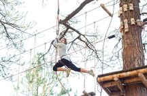 Flagstaff Extreme Adventure Course-Adult Course