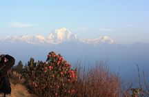 Annapurna Poon Hill Trekking - 4 Days from Pokhara