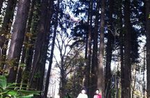 Nopporo Forest Mountain Bike Tour from Sapporo, presenting a retro Cycle cap