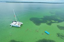 Shell Island Snorkel and Dolphin Catamaran Cruise with Island Time 