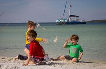 Shell Island Snorkel and Dolphin Catamaran Cruise with Island Time 