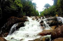 Kanneliya Rain Forest Tour