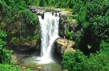 Bali Hindu temple, Rice terrace, Waterfall -All Inclusive
