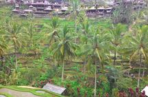Bali Hindu temple, Rice terrace, Waterfall -All Inclusive
