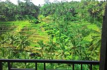 Monkey Forest, Ubud, Waterfall and Rice Terrace