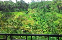 Bali Rafting + Rice Terrace + 1,5Hrs Balinese Massage + Lunch